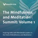 The Mindfulness and Meditation Summit: Volume 1: Inspiring Talks with Worldwide Leaders in the Field of Mindfulness and Meditation Audiobook