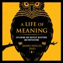 A Life of Meaning: Exploring Our Deepest Questions and Motivations Audiobook