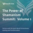 The Power of Shamanism Summit: Volume 1: Partner with the Spirit World to Accelerate Healing and Transformation Audiobook