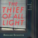 The Thief of All Light Audiobook