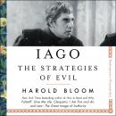 Iago: The Strategies of Evil Audiobook