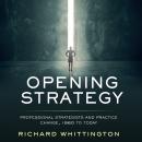 Opening Strategy: Professional Strategists and Practice Change, 1960 to Today Audiobook