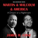 Martin & Malcolm & America: A Dream or a Nightmare 20th Anniversary Edition Audiobook