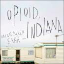 Opioid, Indiana