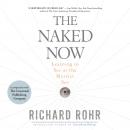 The Naked Now: Learning To See As the Mystics See Audiobook