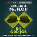 The Odd Job Audiobook