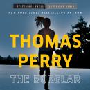 The Burglar Audiobook