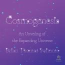 Cosmogenesis: An Unveiling of the Expanding Universe, Brian Thomas Swimme