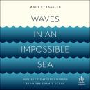 Waves in an Impossible Sea: How Everyday Life Emerges from the Cosmic Ocean Audiobook