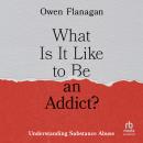 What Is It Like to Be an Addict?: Understanding Substance Abuse Audiobook
