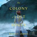 The Colony of Lost Souls Audiobook