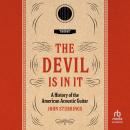 The Devil Is in It: A History of the American Acoustic Guitar Audiobook