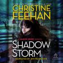 Shadow Storm Audiobook