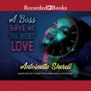 A Boss Gave Me the Best Love Audiobook