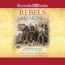 Rebels in the Making: The Secession Crisis and the Birth of the Confederacy Audiobook