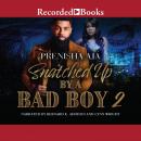 Snatched Up by a Bad Boy 2 Audiobook