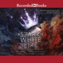 A Spark of White Fire Audiobook