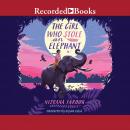 Girl Who Stole an Elephant, Nizrana Farook