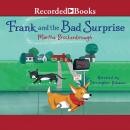Frank and the Bad Surprise Audiobook