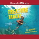 Treasure Tracks Audiobook