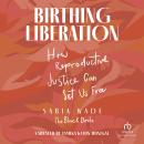 Birthing Liberation: How Reproductive Justice Can Set Us Free Audiobook