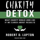 Charity Detox: What Charity Would Look Like If We Cared About Results Audiobook