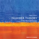 Number Theory: A Very Short Introduction Audiobook
