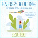 Energy Healing for Trauma, Stress & Chronic Illness: Uncover & Transform the Subtle Energies That Ar Audiobook