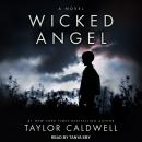 Wicked Angel: A Novel Audiobook