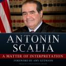 A Matter of Interpretation: Federal Courts and the Law Audiobook