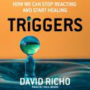 Triggers: How We Can Stop Reacting and Start Healing Audiobook