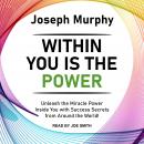Within You Is the Power: Unleash the Miracle Power Inside You with Success Secrets from Around the World!
