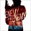 Enemy Of My Enemy Audiobook
