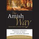 The Amish Way: Patient Faith in a Perilous World Audiobook