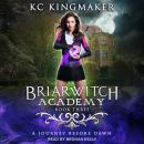 A Journey Before Dawn Audiobook