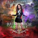 A Storm Before Dawn Audiobook