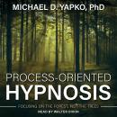 Process-Oriented Hypnosis: Focusing on the Forest, Not the Trees Audiobook