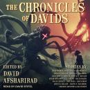 The Chronicles of Davids Audiobook