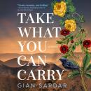 Take What You Can Carry: A Novel Audiobook