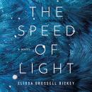 The Speed of Light: A Novel Audiobook