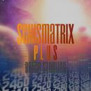 Schismatrix Plus Audiobook