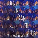 Intangible: A Novel, C. J. Washington