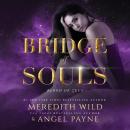 Bridge of Souls Audiobook