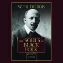 The Souls of Black Folk Audiobook