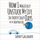 How I Magically Unstuck My Life in Thirty Crazy Days Book 2 Audiobook