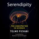 Serendipity Audiobook
