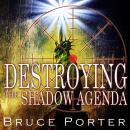 Destroying the Shadow Agenda Audiobook