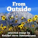 From Outside: selected essays Audiobook
