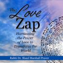 The Love Zap Audiobook