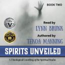 Spirits Unveiled: A Theological Unveiling of the Spiritual Realm Audiobook